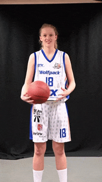 Wolf Ulv GIF by Wolfpack