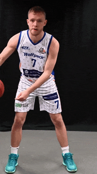 Wolf Ulv GIF by Wolfpack