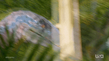 GIF by Miz & Mrs