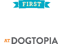 Dogtopia Daycare Sticker by Dogtopia