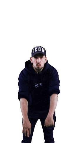 Allinfifa Laolawave Sticker by AthletiaSports