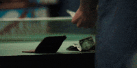 Dream Big Timothee Chalamet GIF by A24