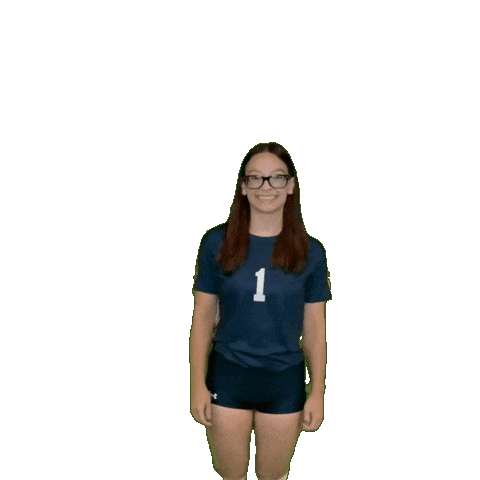 Womens Volleyball Sticker by Clarke University