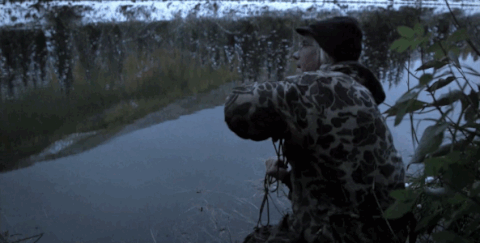 beaver GIF