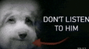 Dog Tuff GIF
