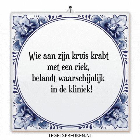 Nl Spreuk GIF by Tegelspreuken.nl