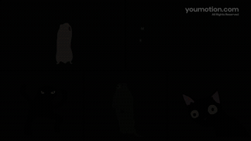 Memes Stickers Emoji Animations