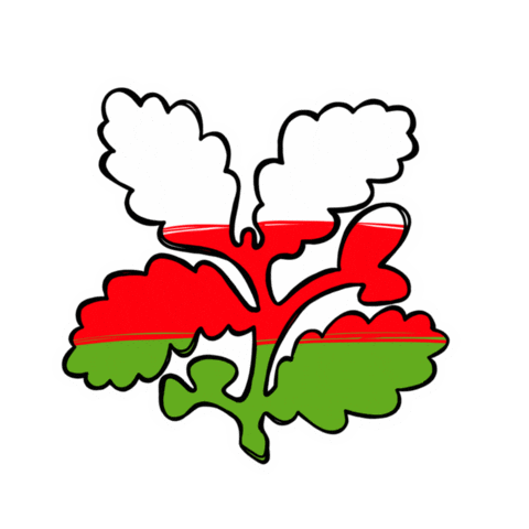 Wales Welsh Sticker by National Trust Cymru