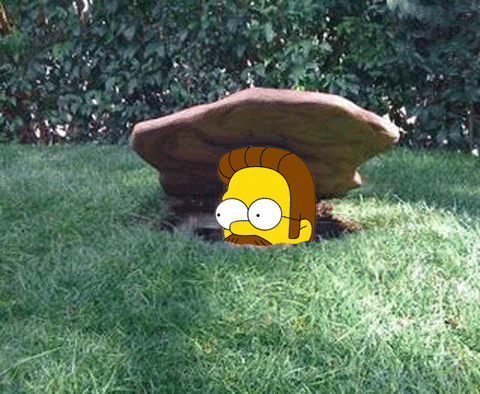 gvissing giphyupload GIF