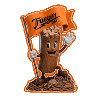 Bbq Traeger Day Sticker by Traeger Grills