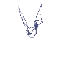 Halloween Flying Sticker by Sub Urban