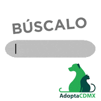 AdoptaCDMX love cat dog gatos Sticker
