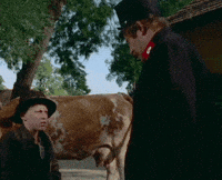 Film Cow GIF