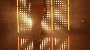 Softball Tennessee GIF by NCAA Championships