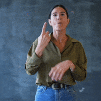 Asl Reason GIF
