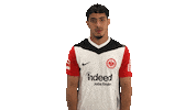 Eintracht Frankfurt Wink Sticker by Bundesliga
