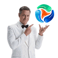 The Professional Laundry Sticker by Persil ProClean