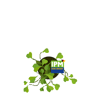 Flower Sticker by MESSE ESSEN