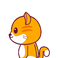 Cat What Sticker by CATECOIN