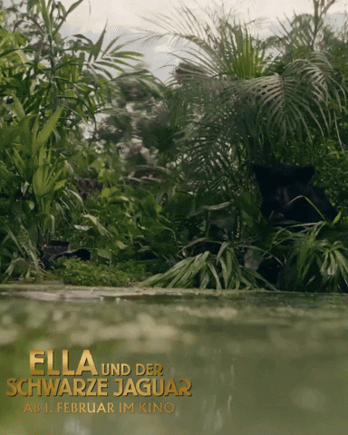 Film Water GIF by Studiocanal Germany