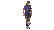 Orlando Pride Sport Sticker by National Women's Soccer League