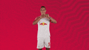 Happy Football GIF by RB Leipzig