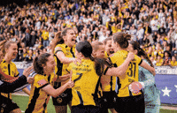 Bscyb GIF by BSC Young Boys