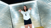 Toledo Volleyball GIF by Toledo Rockets