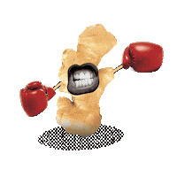 GoodEarthAU tea fruit teapot teacup Sticker