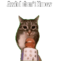 Cat Idk Sticker