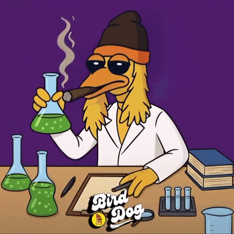 BirdDogERC meme crypto science smoke GIF