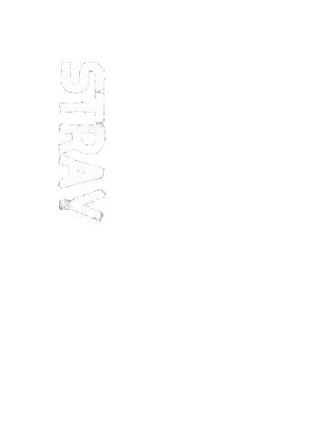 Stray Kids Skz Sticker