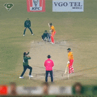World Cup Cricket GIF