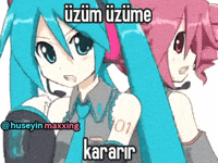 Turkish GIF