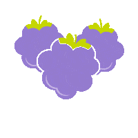 Sk Berries Sticker by Hippie Organics