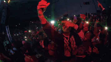 Swae Lee GIF by Rae Sremmurd