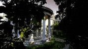 georgia GIF