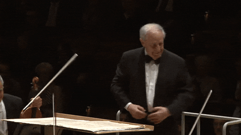 xela23 giphyupload GIF