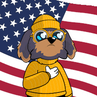 Independence Day Stan GIF by BoDoggos