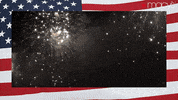 Fourth Of July America GIF by Macy's