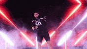 University Of Cincinnati Uc GIF by Cincinnati Bearcats