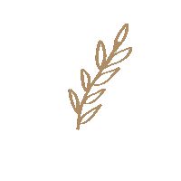 bellaqsboutique minimal simple leaf leaves Sticker