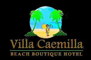 vcbbh beach vacation boracay villacaemilla GIF