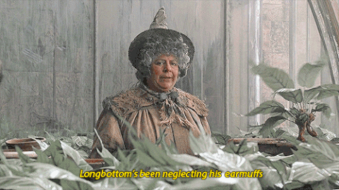 chamber of secrets GIF