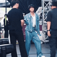Concert Dancing GIF