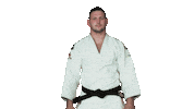 czechjudo fight swipe up mma bjj Sticker