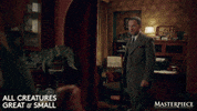 Stare Down Face Off GIF by MASTERPIECE | PBS