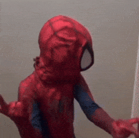 Spider-Man Homem Aranha GIF