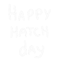 Happy Birthday Day Sticker