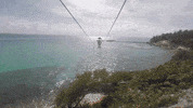 garrafon park GIF by Dolphin Discovery